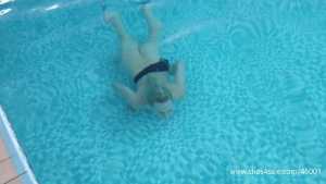 keira-nude-breath-holding-underwater-poo