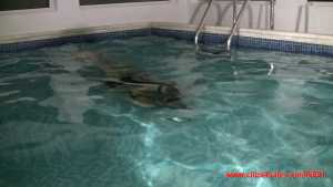 loren-in-her-wet-swimsuit-swimming-in-th