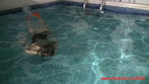 loren-in-her-wet-swimsuit-swimming-in-th